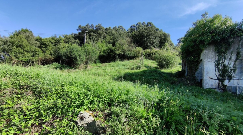 Cantabria - Laredo - 3500m2
