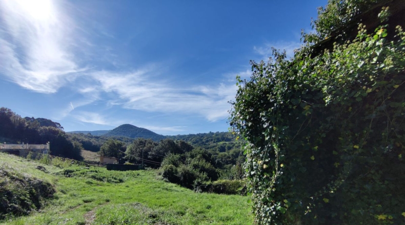 Cantabria - Laredo - 3500m2