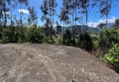 Chalet independiente con terreno en venta en la España, Soto de Ribera, ref: TR396866 foto