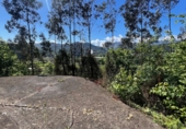 Chalet independiente con terreno en venta en la España, Soto de Ribera, ref: TR396866 foto
