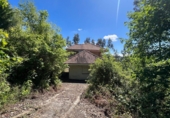 Chalet independiente con terreno en venta en la España, Soto de Ribera, ref: TR396866 foto