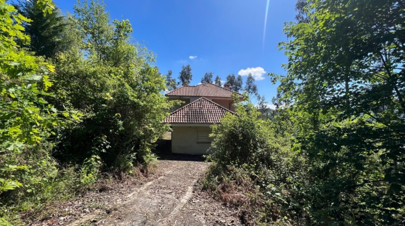 Astúries - Soto de Ribera - 16000m2