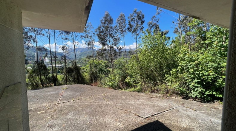 Astúries - Soto de Ribera - 16000m2