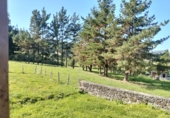 Chalet independiente con terreno en venta en Bárcena de Cicero ref: TR396865 foto