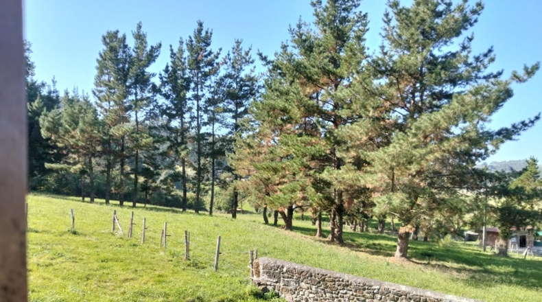 Cantabria - Bárcena de Cicero - 1400m2