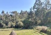 Chalet independiente con terreno en venta en Bárcena de Cicero ref: TR396865 foto