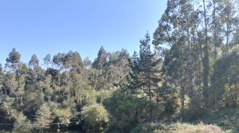 Cantabria - Bárcena de Cicero - 1400m2