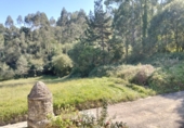 Chalet independiente con terreno en venta en Bárcena de Cicero ref: TR396865 foto