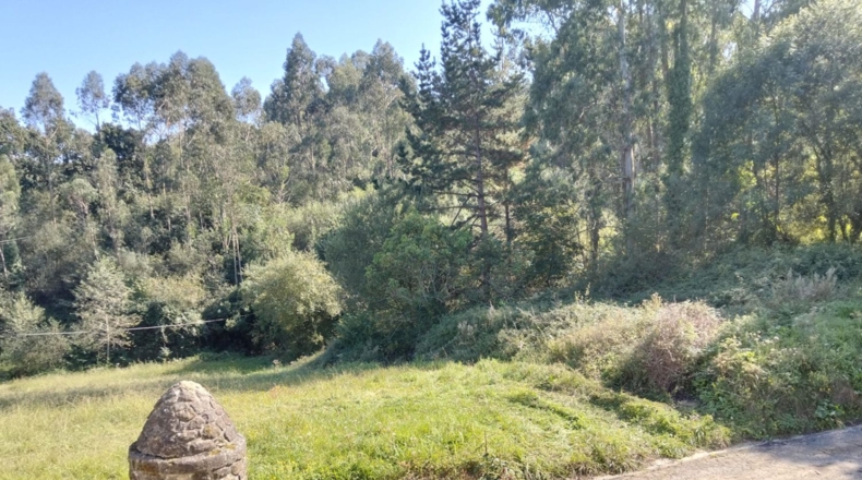 Cantabria - Bárcena de Cicero - 1400m2