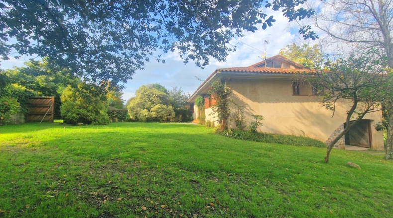 Cantabria - San Miguel de Meruelo - 3100m2