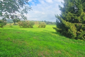 San Miguel de Meruelo 3100&nbsp;m²