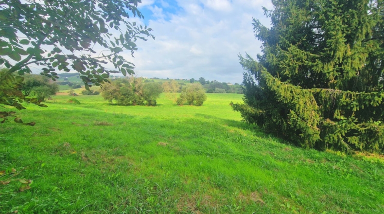 Cantabria - San Miguel de Meruelo - 3100m2