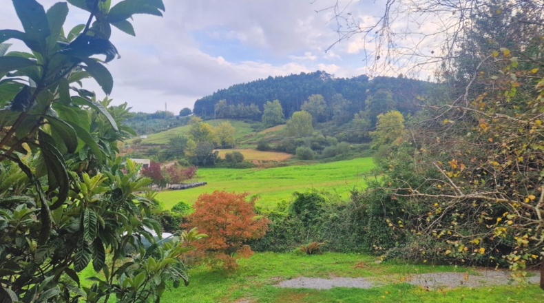Cantabria - San Miguel de Meruelo - 3100m2