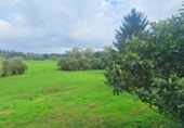 Chalet independiente con terreno en venta en San Miguel de Meruelo ref: TR396864 foto