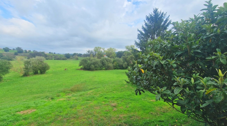 Cantabria - San Miguel de Meruelo - 3100m2