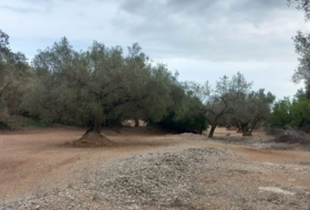 Sant Rafel del Riu 66123&nbsp;m² 