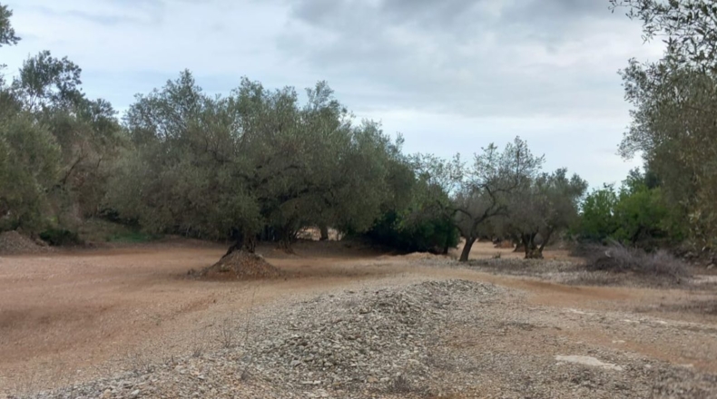 Castellon - San Rafael del Río - 66123m2