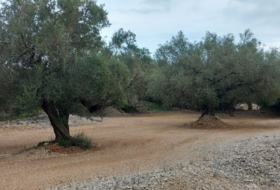 Sant Rafel del Riu 66123&nbsp;m² 