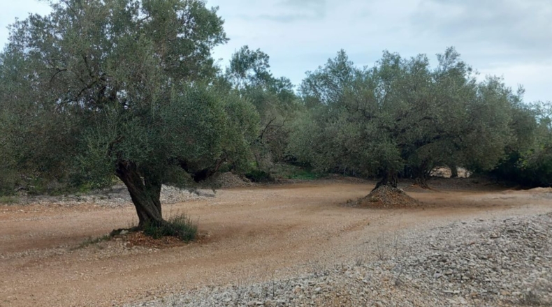 Castellon - San Rafael del Río - 66123m2