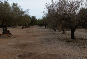 Sant Rafel del Riu 66123&nbsp;m² 