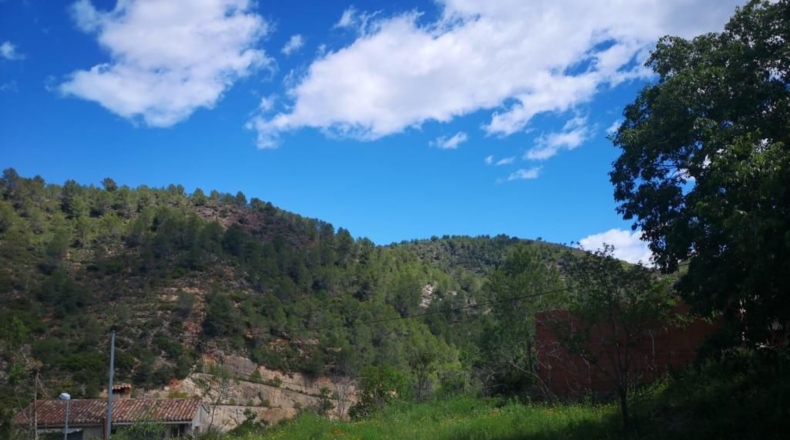 Castellon - Sueras - 1042m2