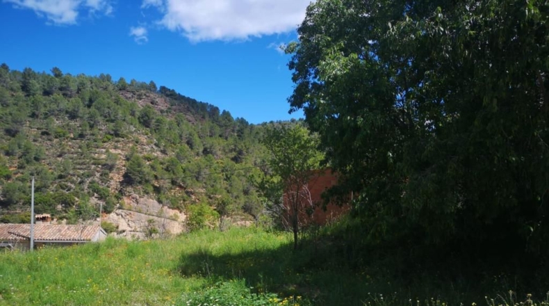 Castellon - Sueras - 1042m2