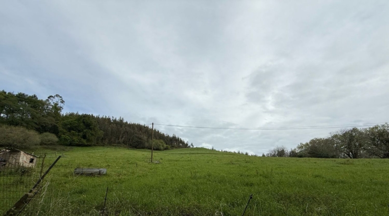 Cantabria - Barrio Bocillo - 18000m2
