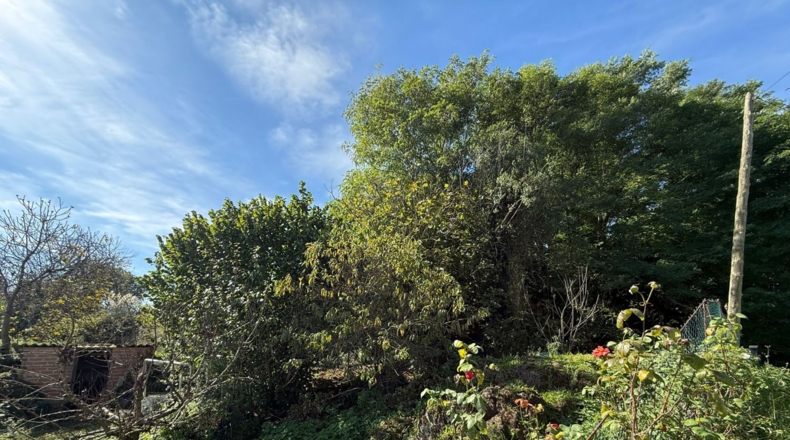 Cantabria - Entrambasaguas - 40000m2