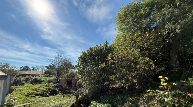 Cantabria - Entrambasaguas - 40000m2