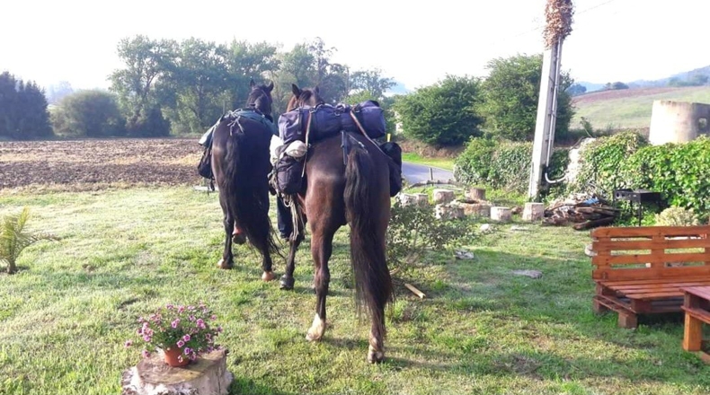 Cantabria - Barrio Bocillo - 30000m2