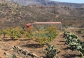 Finca rústica en venta en San Bartolomé de Tirajana ref: TR396835 foto