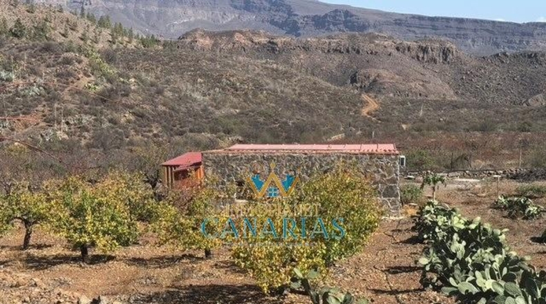 Las Palmas - San Bartolomé de Tirajana - 13138m2