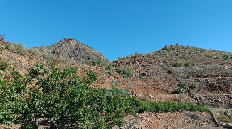 Las Palmas - San Bartolomé de Tirajana - 13138m2