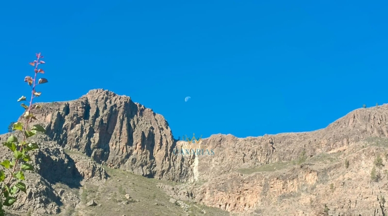 Las Palmas - San Bartolomé de Tirajana - 13138m2