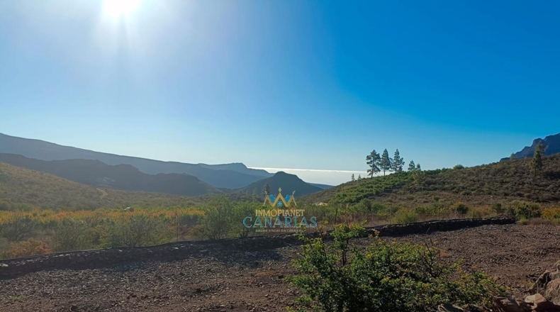 Las Palmas - San Bartolomé de Tirajana - 13138m2