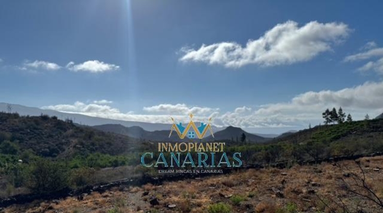 Las Palmas - San Bartolomé de Tirajana - 13138m2