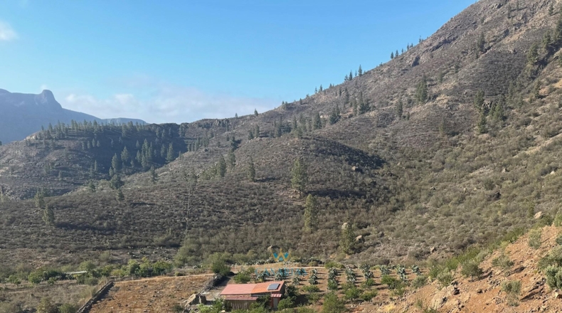 Las Palmas - San Bartolomé de Tirajana - 13138m2