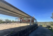 Xalet independent amb terreny en venda a Vilanova d'Alcolea ref.: TR396831 foto