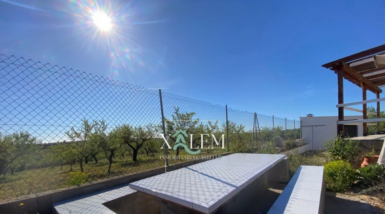 Castellón - Villanueva de Alcolea - 11404m2