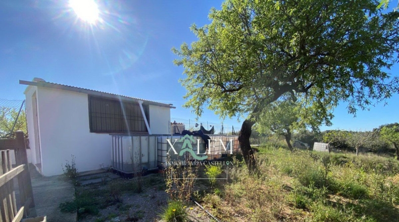 Castellón - Villanueva de Alcolea - 11404m2