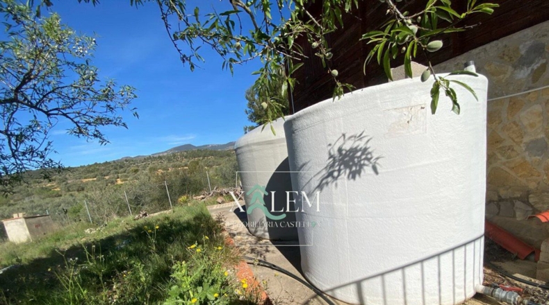 Castellón - Villanueva de Alcolea - 11404m2