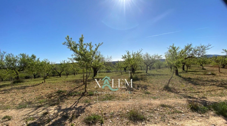Castellón - Villanueva de Alcolea - 11404m2