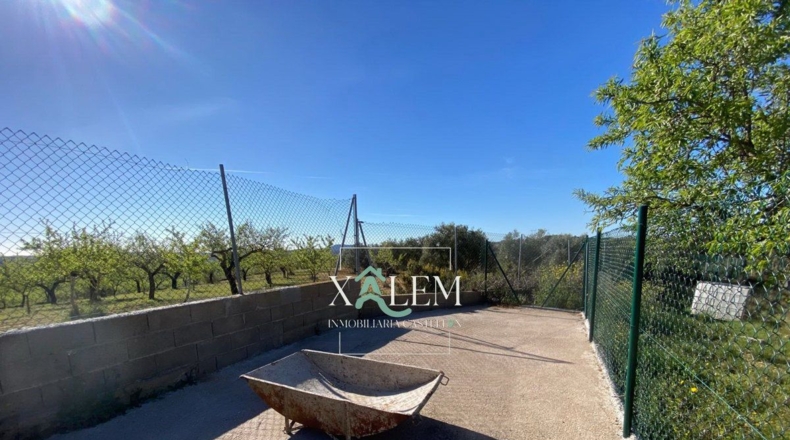 Castellón - Villanueva de Alcolea - 11404m2