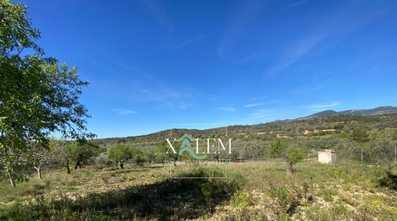Castellón - Villanueva de Alcolea - 11404m2