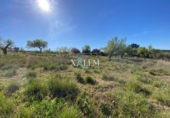 Xalet independent amb terreny en venda a Vilanova d'Alcolea ref.: TR396831 foto