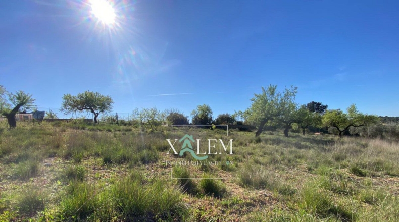 Castellón - Villanueva de Alcolea - 11404m2
