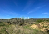 Xalet independent amb terreny en venda a Vilanova d'Alcolea ref.: TR396831 foto