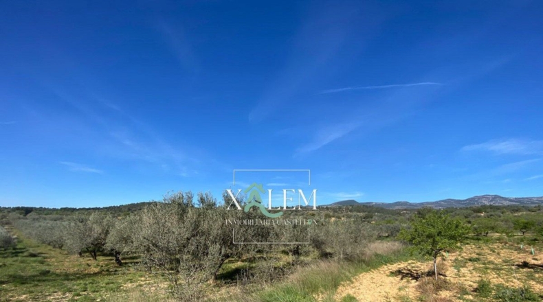 Castellón - Villanueva de Alcolea - 11404m2
