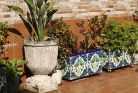 Foto 6