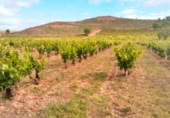 Non-developable land for sale on Najera, Nájera, ref: TR396816 photo